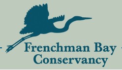 FBC